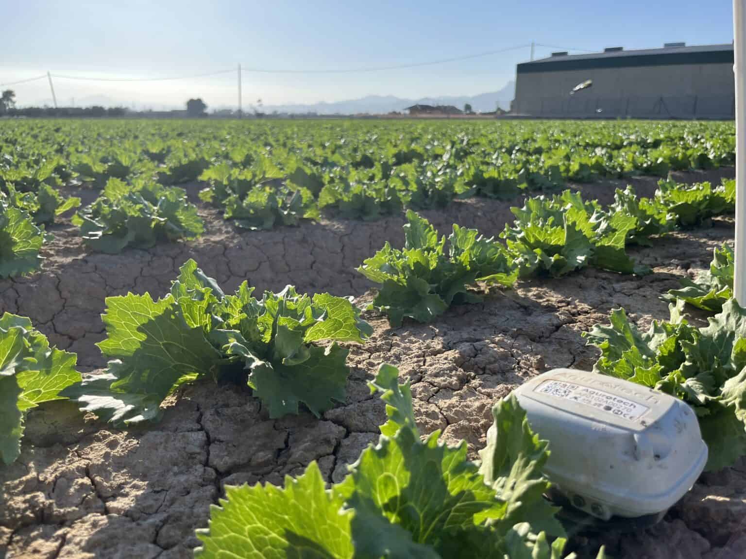 Agurotech land met meter